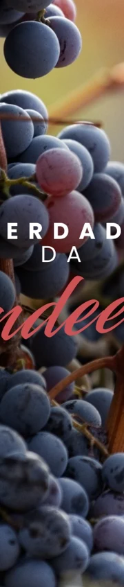 Herdade Da Candeeira Web 1